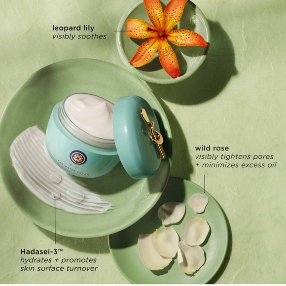 Tatcha Water Cream Moisturizer - Picture 5 of 5